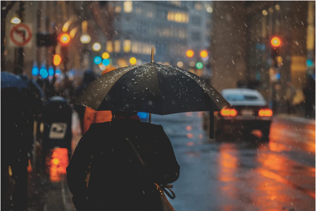 The mood and tone of a poem about rainy days (tips and examples)