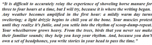 examples statement of purpose grad school essay MFA Creative writing