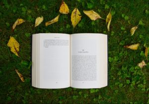 The Waterston Desert Writing Prize