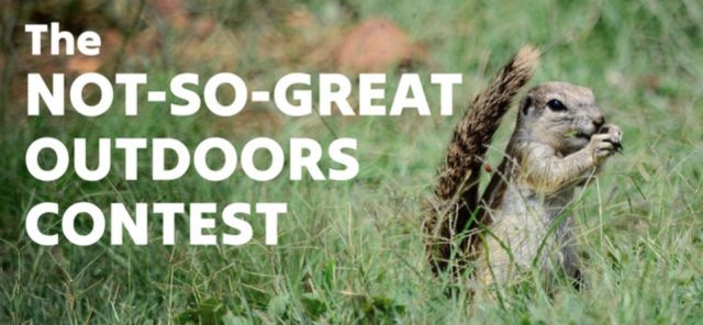 Not-so-Great outdoors Contest