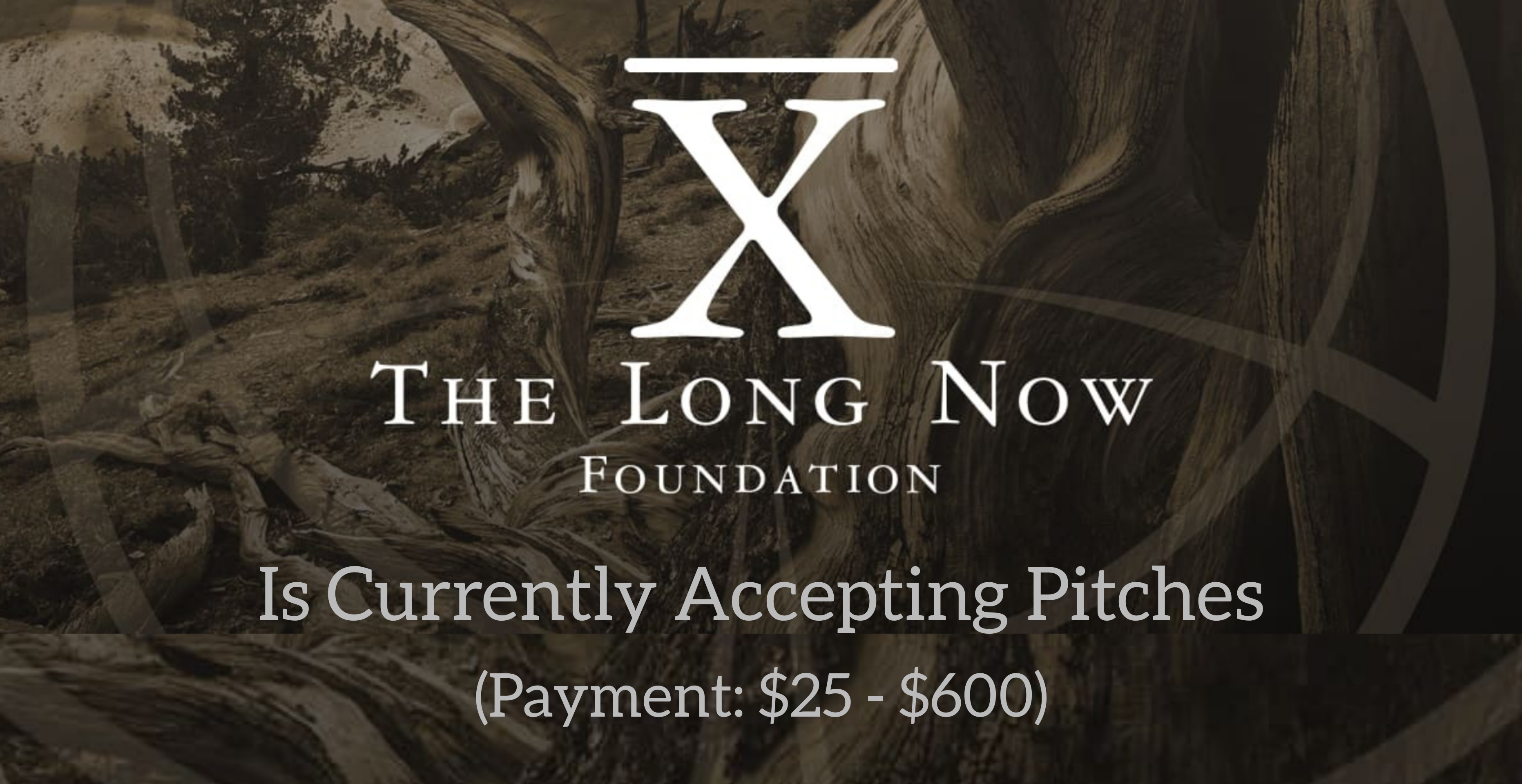 Submission Guidelines For The Long Now Foundation
