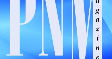 The Prime Number Magazine Awarss logo, blue and silver.