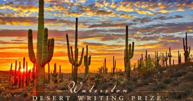 The Waterston Desert Writing Prize, flyer.