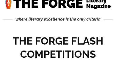 The Forge Magazine Flash Competitions, web screenshot.
